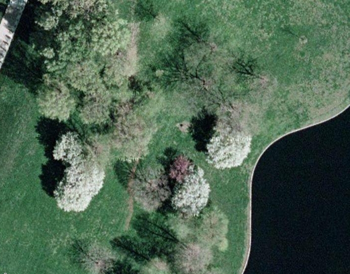 1 Paul Primo's house site