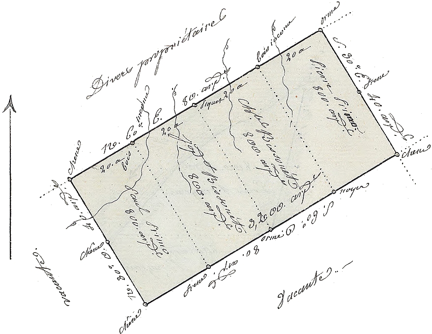 Soulard's survey of Primo-Bisonet 1804 St Louis land sale to Rankin 